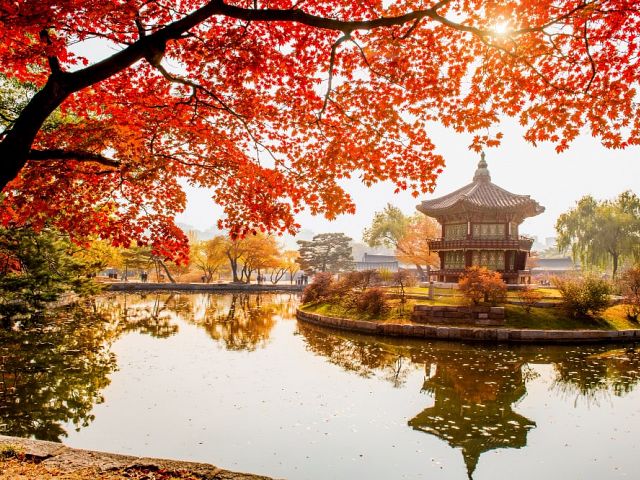 ***2026 - COREA Y JAPON 21 DIAS - OCT